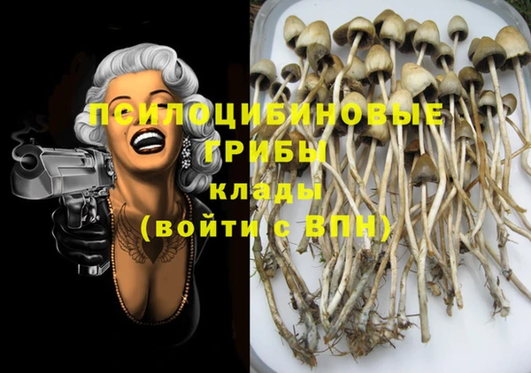 винт Кукмор