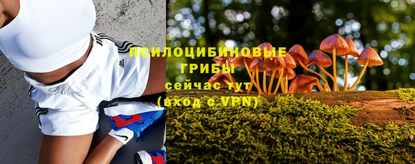 трава Кулебаки