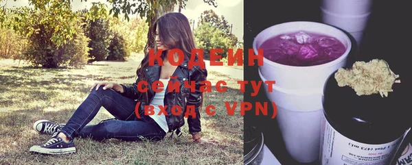 молекула духа Куйбышев