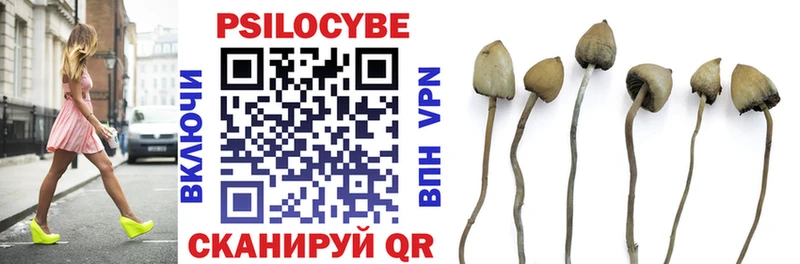 Купить закладки  Райчихинск  Псилоцибиновые грибы Magic Shrooms 